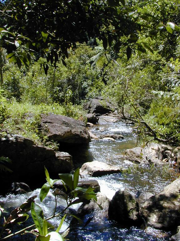 Apartamento Ferias Fazenda Usina 2 Bocaina de Minas Εξωτερικό φωτογραφία
