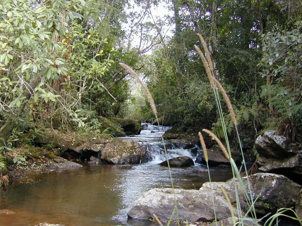 Apartamento Ferias Fazenda Usina 2 Bocaina de Minas Εξωτερικό φωτογραφία
