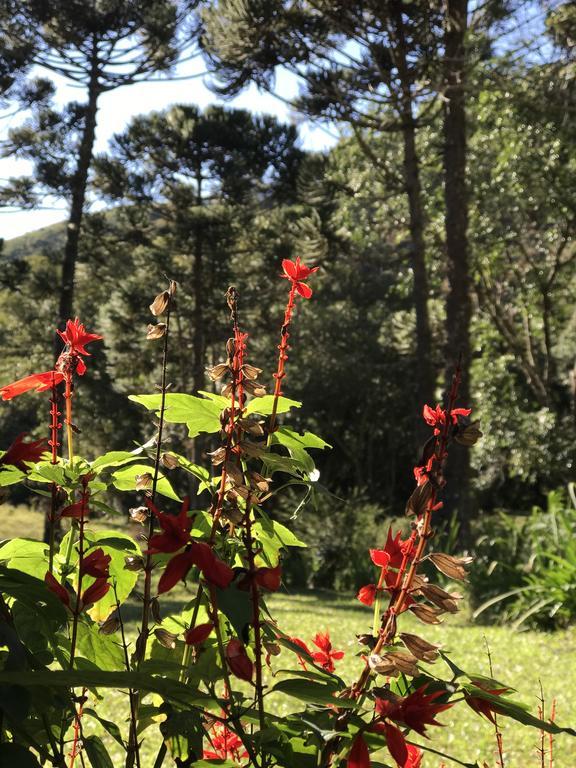 Apartamento Ferias Fazenda Usina 2 Bocaina de Minas Εξωτερικό φωτογραφία